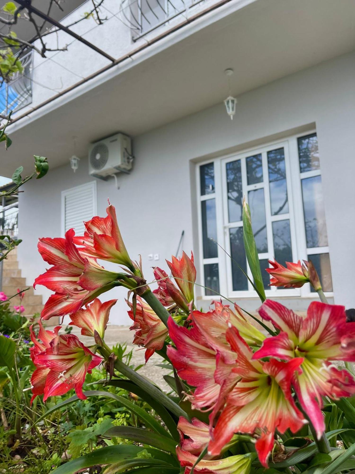 Kuca Radovic Hotel บุดวา ภายนอก รูปภาพ
